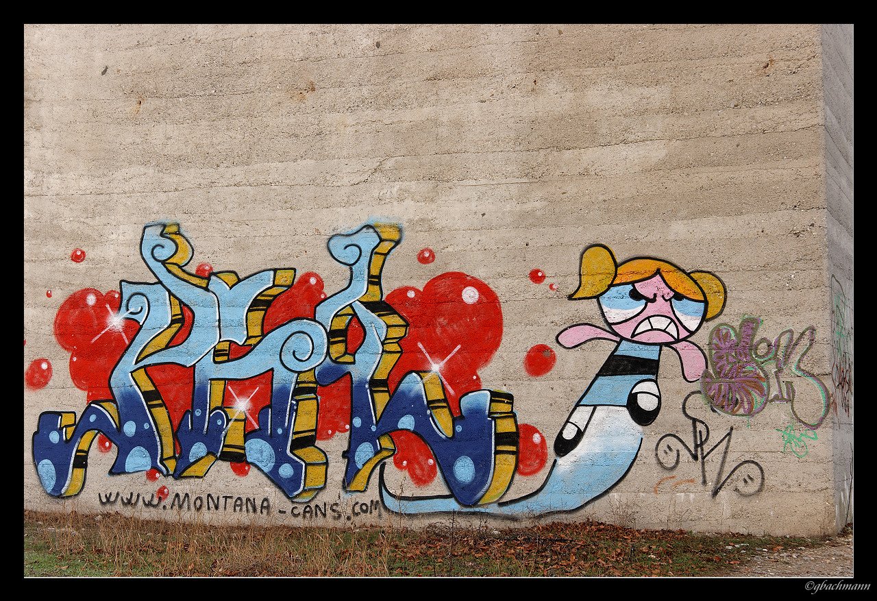 20091227_165_DxO_raw